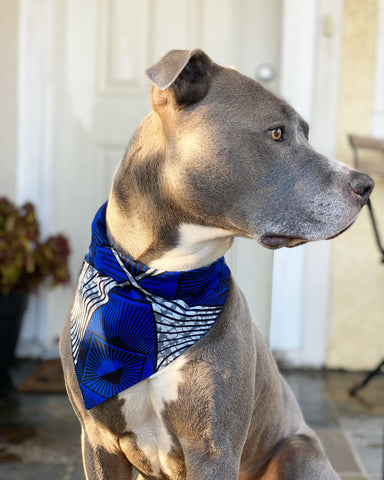 Posh Paws Pet Bandana